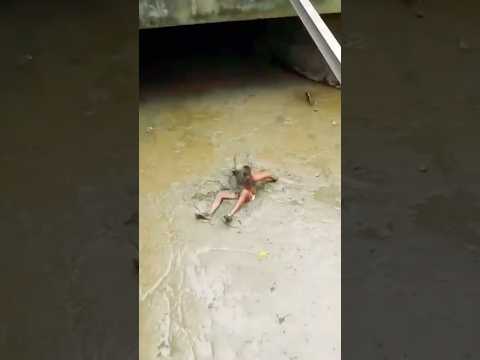 قنصتني الشوكولاتة حصل ايه