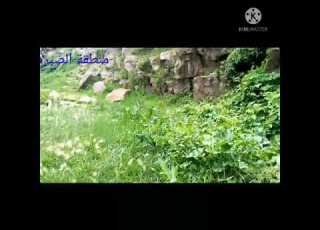 حصري اجمل منطقه سياحيه في مدينة المحويت حيث الماء و الخضره و الجمال الطبيعي منطقة الضبرة