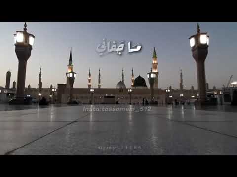 يا طيبة يا طيبة اناشيد اسلامية حالات واتساب