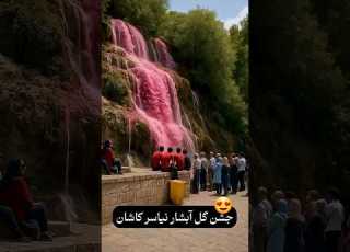  جشن گلاب گیری نیاسر قمصر کاشان عرق وگلاب