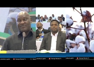 SERIKALI NA WADAU WA PAMBA TANZANIA WAJIFUNGIA KATIKA KUWEKA MKAKATI WA KUONGEZA UZALISHAJI
