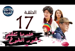 مسلسل عندما تتفتح زهور الخوخ الحلقة السابعة عشرة