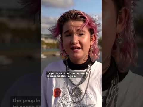 JSO Activist Explains Why They Threw Soup At Van Gogh S Sunflowers Painting