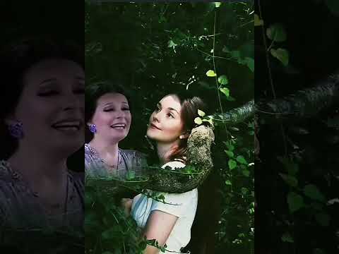 نجاة الصغيره عجيبه يا دنيا