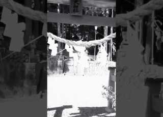ザ テンプターズ BGM 神様お願い