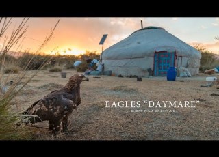  EAGLE S DAYMARE SOUNDTRACK