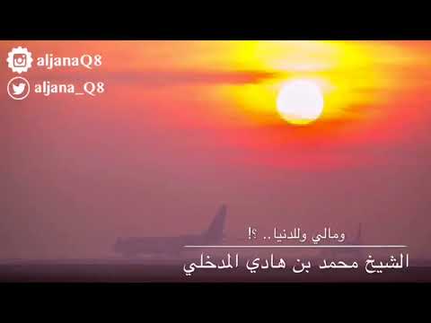 مالي وللدنيا الشيخ محمد بن هادي المدخلي