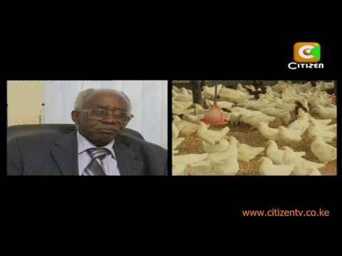 Movers And Shakers Muguku