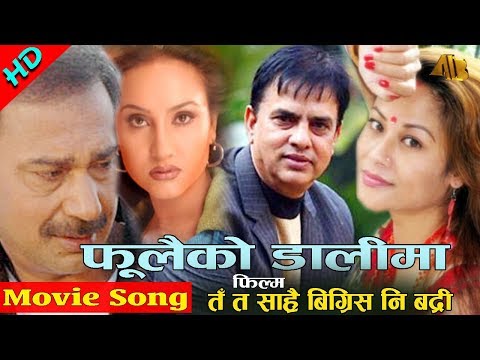 Fulaiko Dalima Ta Ta Sarai Bigris Ni Badri Movie Song AB Pictures Farm B G Dali