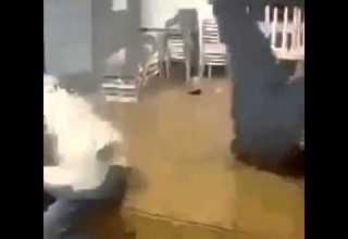 أقوى حزقة في العالم