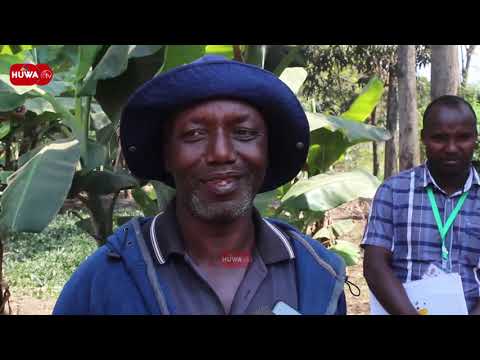 NIMEJENGA NASOMESHA KWA KILIMO CHA MBOGA MBOGA WAKULIMA NA WADAU WAFUNGUKA