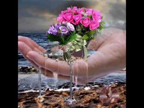 نشيد روووووووعة هي جنة طابت وطاب نعيمها بدون ايقاع