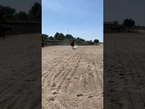 Lm Ale Gena Owner Casadonte Paola