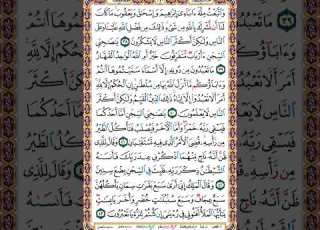 240 الصفحة مائتين وأربعين سورة يوسف