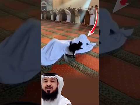 هناك مشاهد تبقى في الذاكرة لأنها كسرت حدود التصديق اكسبلور لايك اقتباسات Animals Food