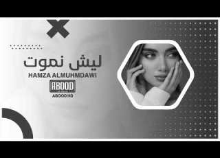  اغاني عراقيه وين الينوم العين خلى عيوني سهرانه وين اليبرد الروح عاف بروحي نيرانه بطيئ