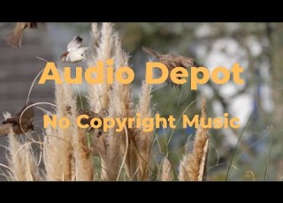 Jarico Retrovi Audio Depot No Copyright Music