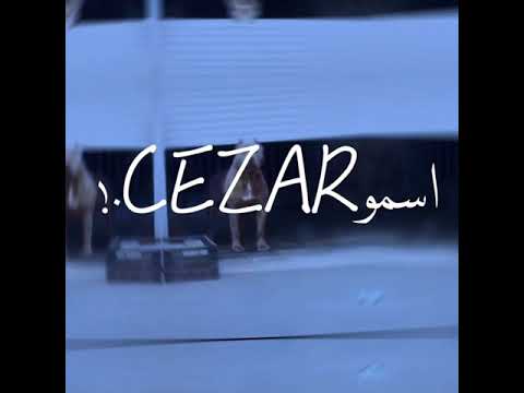 حاه واتس حلقولو لسه منزلتش عندي كلب رايحه منو