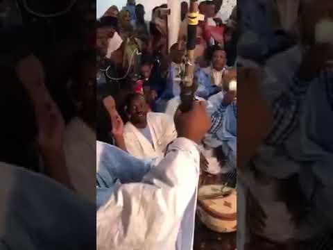 تدينيت Vs آردين عزف موريتاني