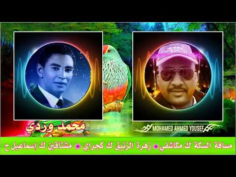 وردي مشتاقين زهرة الزنبق مسافة السكة بالعود