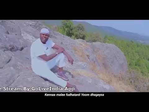 NASHIIDA NAJJASH HARAYA 2026 2018