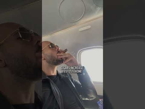 Tate S Cigar Addiction Explained