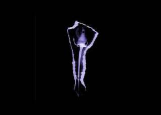Vomer Favorite Ghost