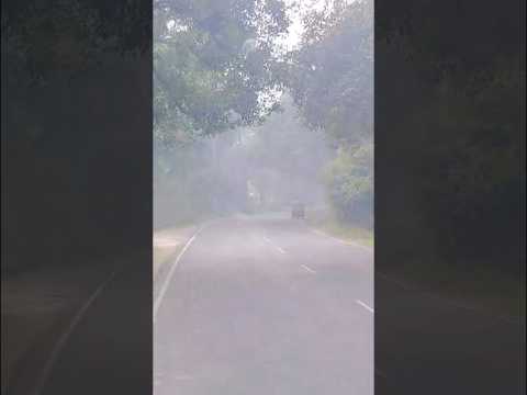 UP Vibes Bridge Highway Song Music UP Vibes Bridge Highway Song Music