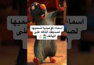 اسماء كوميدية تسميها لصديقك التافه على الهاتف 