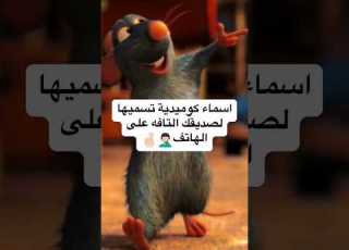 اسماء كوميدية تسميها لصديقك التافه على الهاتف