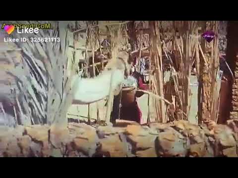 انا حظي قليل في كل حاجه والله