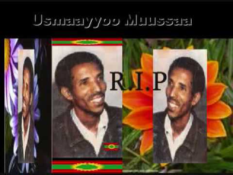 Sodaa By Usmayo Mussa