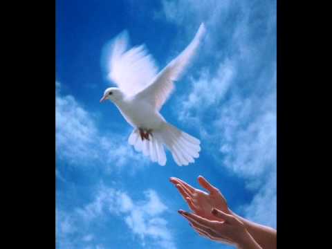 يا حمام شعبي