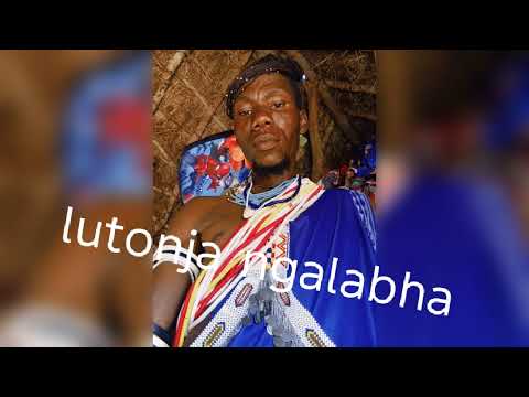 Lutonja Ngalabha Ilumbi 2025 By N Studio