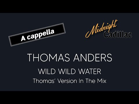 THOMAS ANDERS Wild Wild Water Thomas Version In The Mix A Cappella