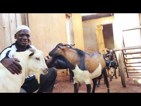 Ntemi Wa Ntemi Song Mwanang Onyingo