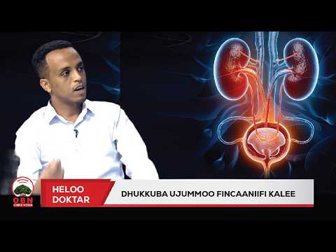 Heloo Doktar Dhukkuba Ujummoo Fincaaniifi Kalee OBN Bitootessa 13 2018