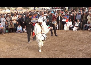  Danse Alaoui 174 العلاوي مع فرقة الر عد Avec Le Groupe Erraad Chants Et Danses Traditionnels