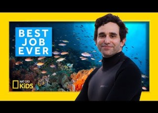 Marine Biologist David Gruber Best Job Ever
