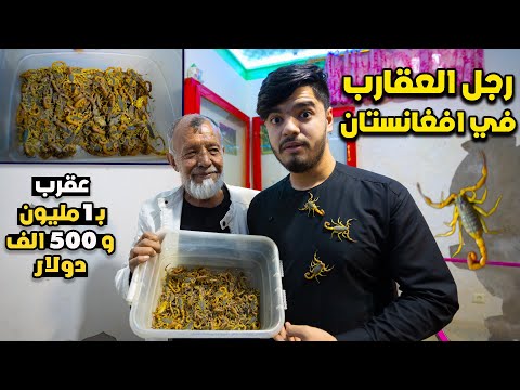 اخطر رجل عايش مع 50 الف عقرب سم قاتل في افغانستان Men Live With 50 Thousand Scorpions