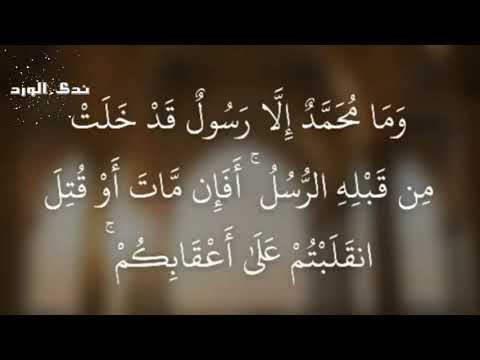 وما محمد إلا رسول قد خلت من قبله الرسل أفإن مات أو قتل انقلبتم على أعقابكم