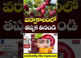 Monsoon Super Fruit Benefits Of Eating Albakara Fruit