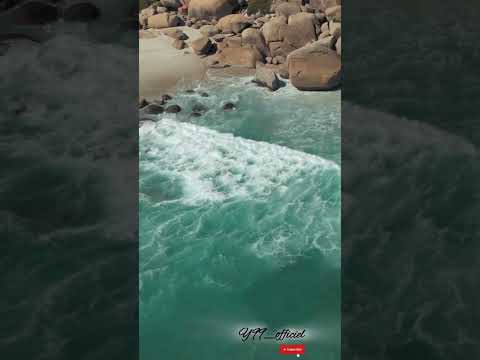 كي الموجة في البحر بلال طاكيني Rai Algerien Dz بحر صيف Shortvideo Subscribe