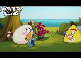 Angry Birds Toons 3 Ep 24 Sneak Peek Photochucked