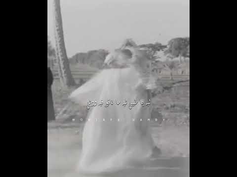 الشيخ احمد برين دنيا غروره