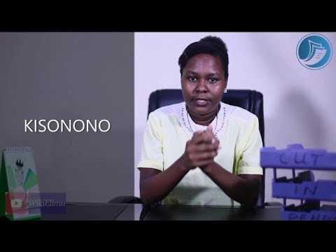 KISONONO Dalili Sababu Matibabu