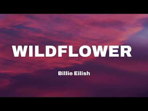 Billie Eilish WILDFLOWER Lyrics