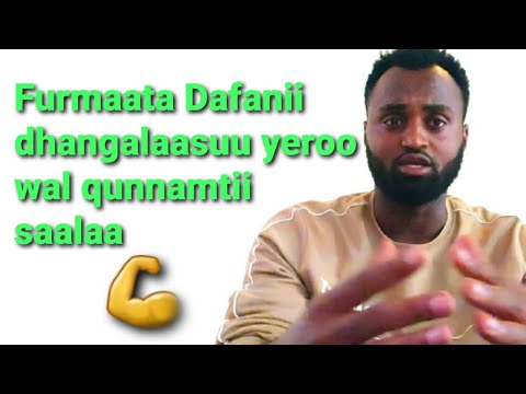 Dafanii Xumuruu Wal Qunnamtii Saalaa Akkamitti Hir Isna
