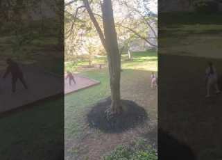 She Fell By Matias Power Kick