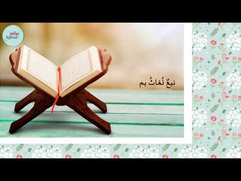 نشيد في صحبة القرآن خير يزيد الدوسري نشيد في صحبة القرآن خير يزيد الدوسري